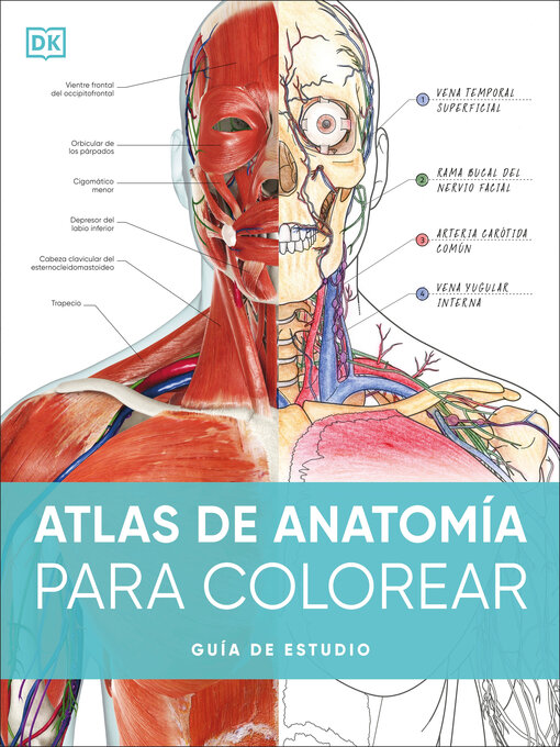 Title details for Atlas de anatomia para colorear (The Human Body Coloring Book) by DK - Available